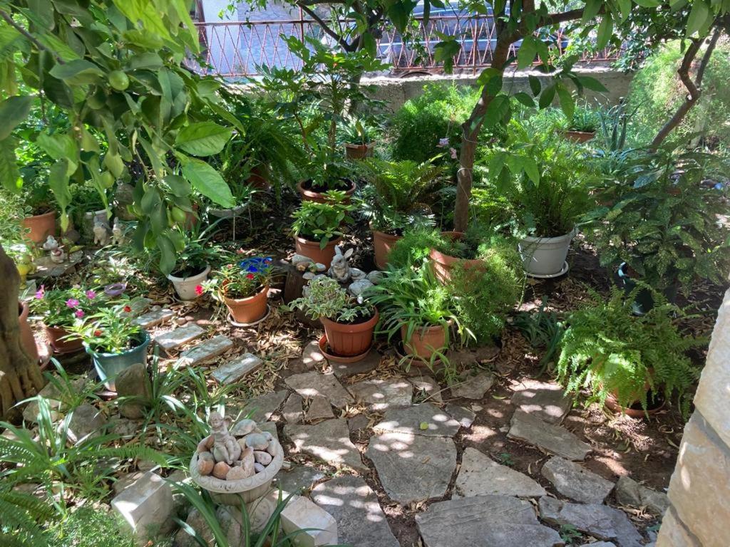 Villa Marga ييلسا المظهر الخارجي الصورة